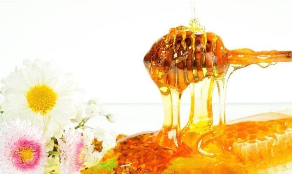 Masáže v Salon Rose