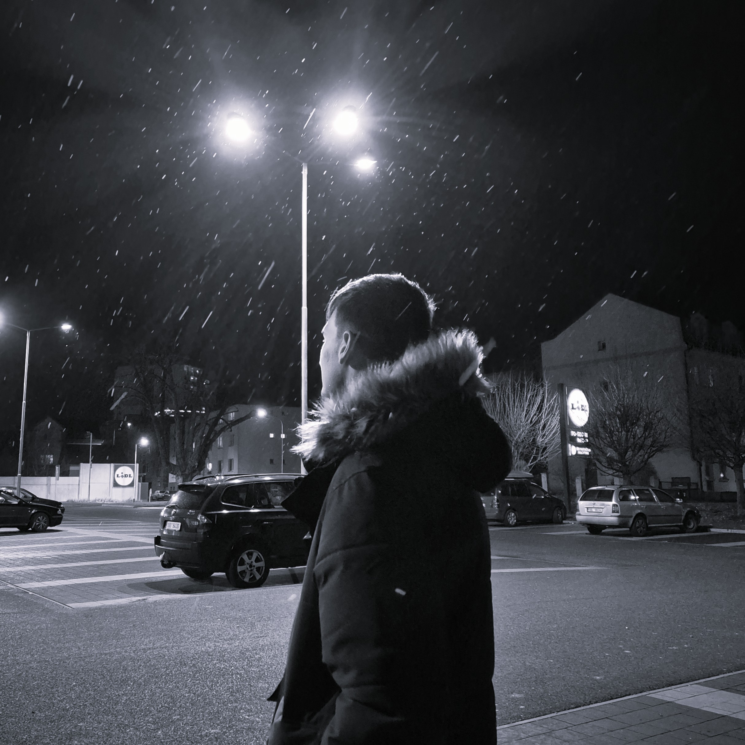 Nicolas Růžička – IT Team